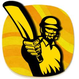 T20 IPL 2015 1.2