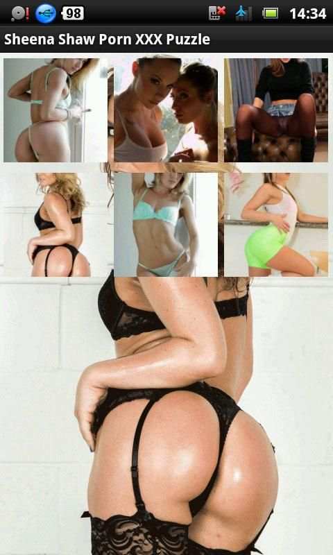 Sheena Shaw Porn XXX Puzzle screenshot 1
