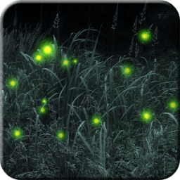 Firefly Live Wallpaper Free आइकन