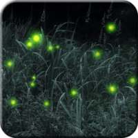 Firefly Live Wallpaper Free on 9Apps