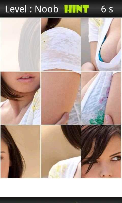 Brooke Lee Adams Porn Puzzle screenshot 2