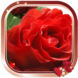 Love Magic HD Live Wallpaper आइकन