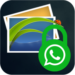 Hide your WhatsApp Photo icon