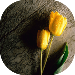 احدث صور 2017 иконка