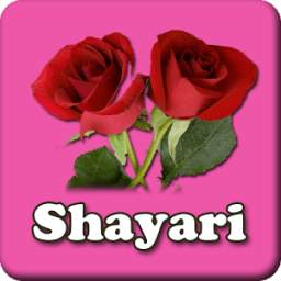 Hindi Shero Shayari SMS : Love