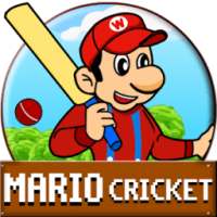 Mario Cricket World