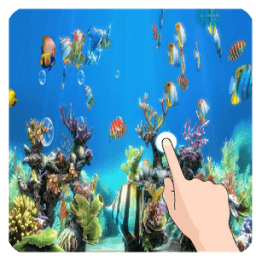 Koi Fish Live Wallpaper Free أيقونة