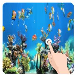 Koi Fish Live Wallpaper Free 1.0