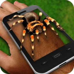 Spider On Hand: Fun Joke icon