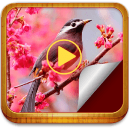 Photo Movie Maker icon