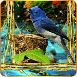 3D Birds Parallax LWP 1.0