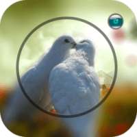 Blur Photo Focus on 9Apps