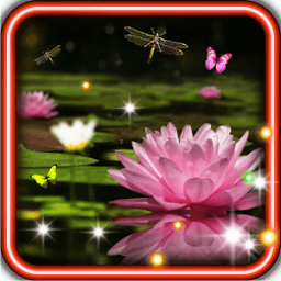 Lily Water live wallpaper icon