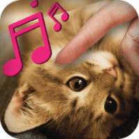 Гладь Кота и Расслабляйся