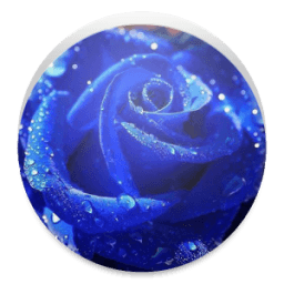 بانورما الورد icon