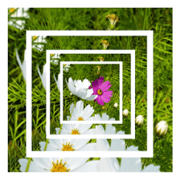 Quick Image Resizer icon