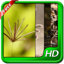 Nature HD Live Wallpapers أيقونة