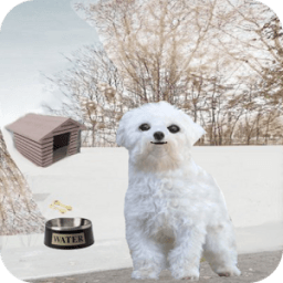 बात कर रहे कुत्ता जिमी आइकन