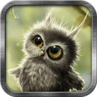 Owl Chick Live Wallpaper on 9Apps