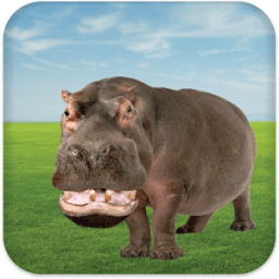 Talking Hippo icon