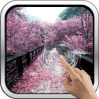 Magic Touch: The Sakura Garden
