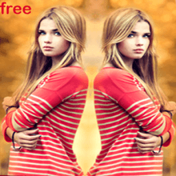 mirror image HD free icon