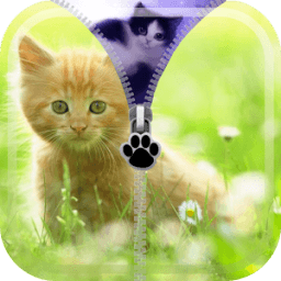Kitty zip Locker icon