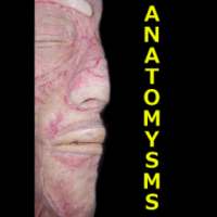 AnatomySMS