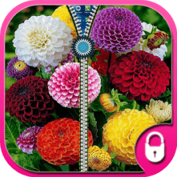 flowers zipper lock screen أيقونة
