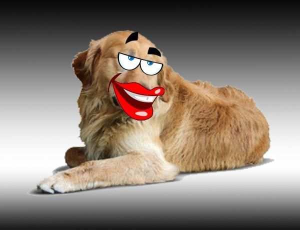 foto stiker screenshot 3
