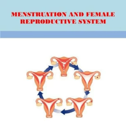 MENSTRUATION SYSTEM иконка