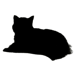 BlackCat - Интернет-браузер иконка