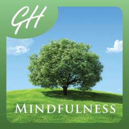 Mindfulness Meditations