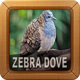 ikon Suara Burung Perkutut