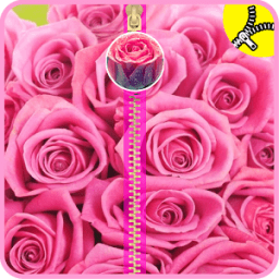 Pink Roses Zipper Lock Screen أيقونة