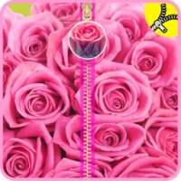 Pink Roses Zipper Lock Screen