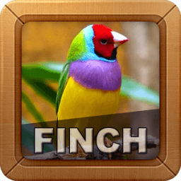 Finch Bird Sounds icon