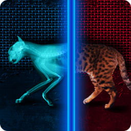 X-Ray Cat Prank icon