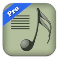 MusicLyrics Pro