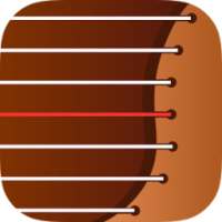 Chinese Guzheng Play