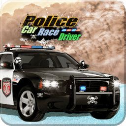 3D Cars Police Chasing Traffic icon