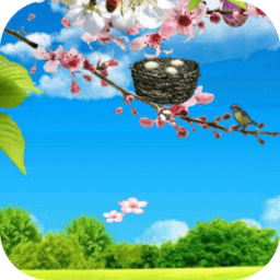 ikon Spring Grassland Livewallpaper