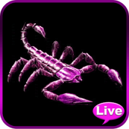 Scorpion Animated Wallpaper أيقونة