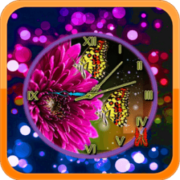 Chrysanthemum Clock أيقونة