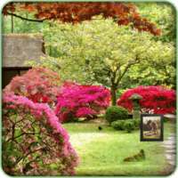 Garden Photo Frames HD+