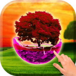 Sunset tree wallpaper आइकन