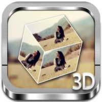 My Photo 3D cube Live WP on 9Apps