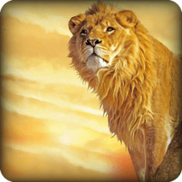 Real Lion Simulator 2016 icon