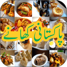 Pakistani Recipes icon