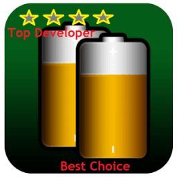 ikon DOUBLE BATTERY SAVER